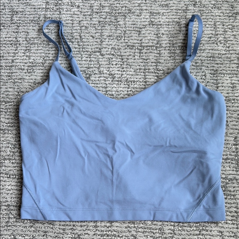 Blue Spaghetti Strap Crop Top